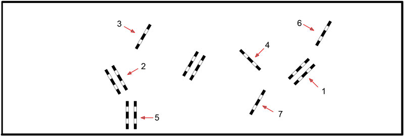 Hoppövning5