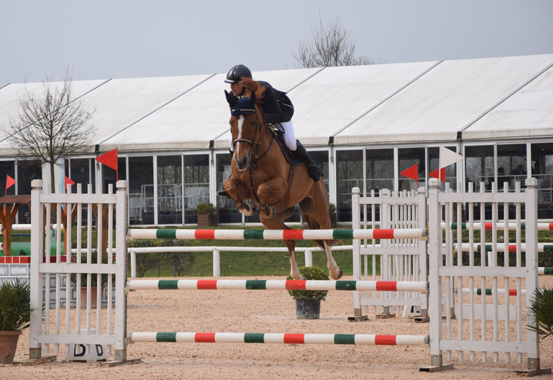 John Österdahl är en av alla framgångsrika JumpClub-ryttare som är på plats i Arezzo under alla tre tävlingsveckorna. Han har hittills tagit tre placeringar. Foto: Jennifer Åström